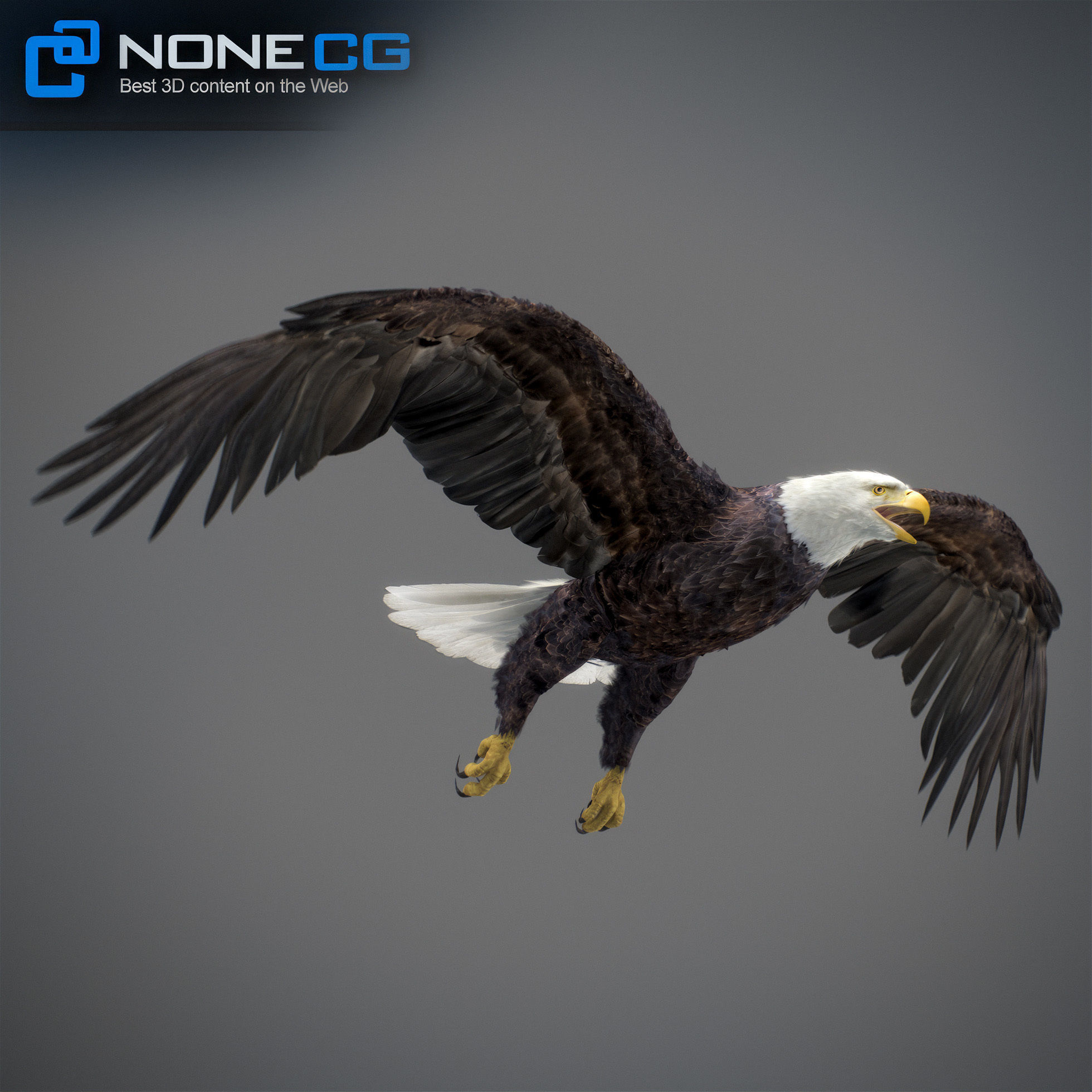 Animated Eagles 3D model_33