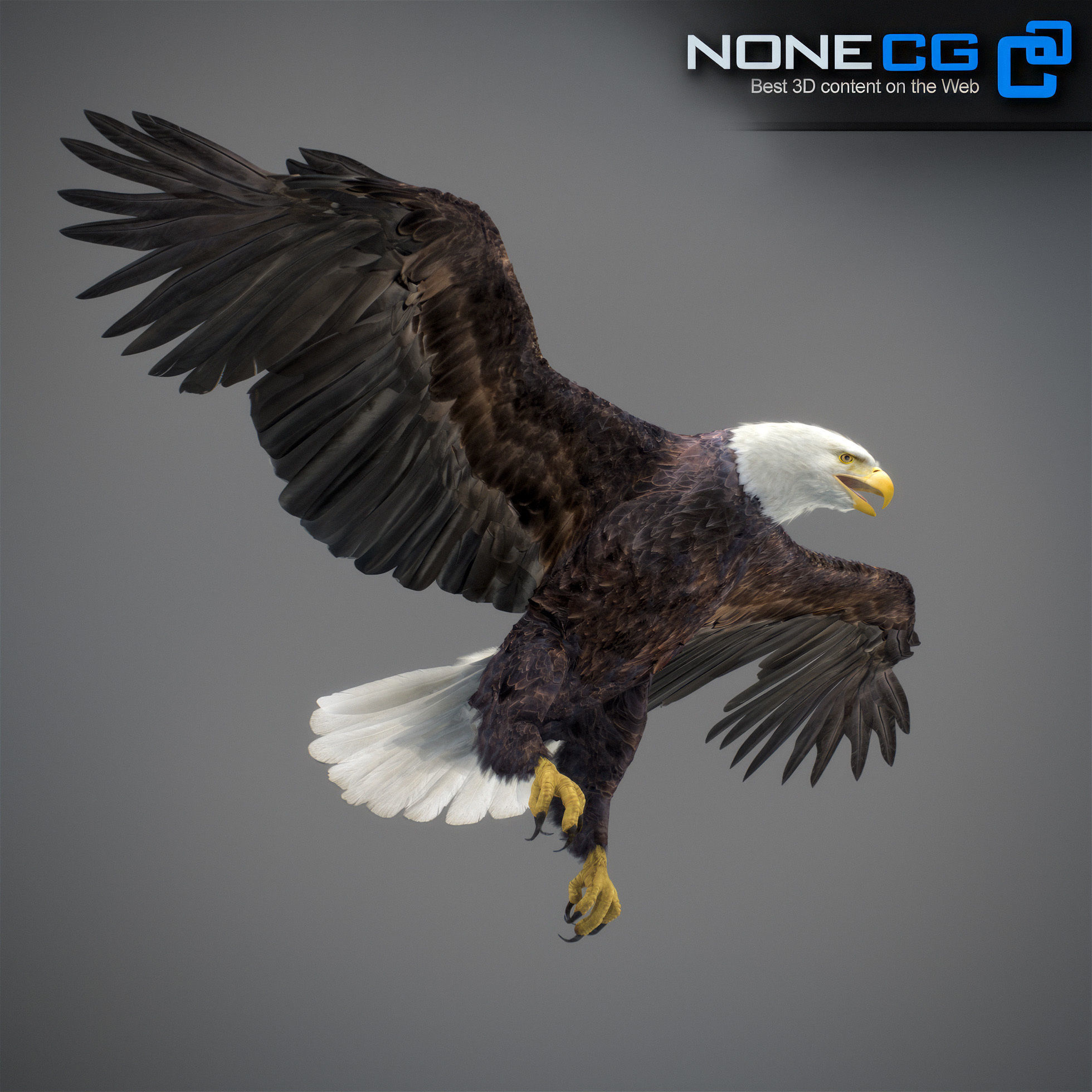 Animated Eagles 3D model_29