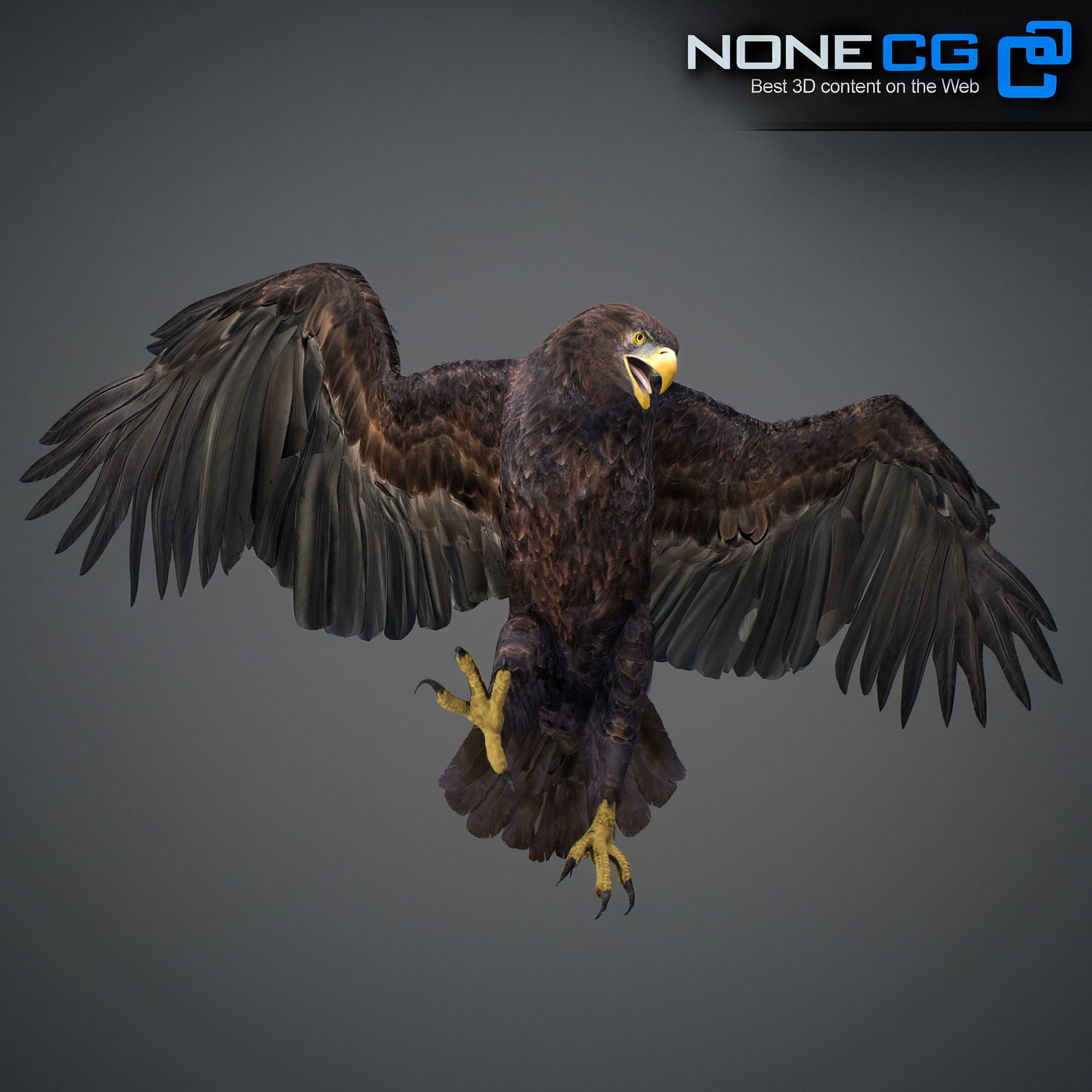 Animated Eagles 3D model_22