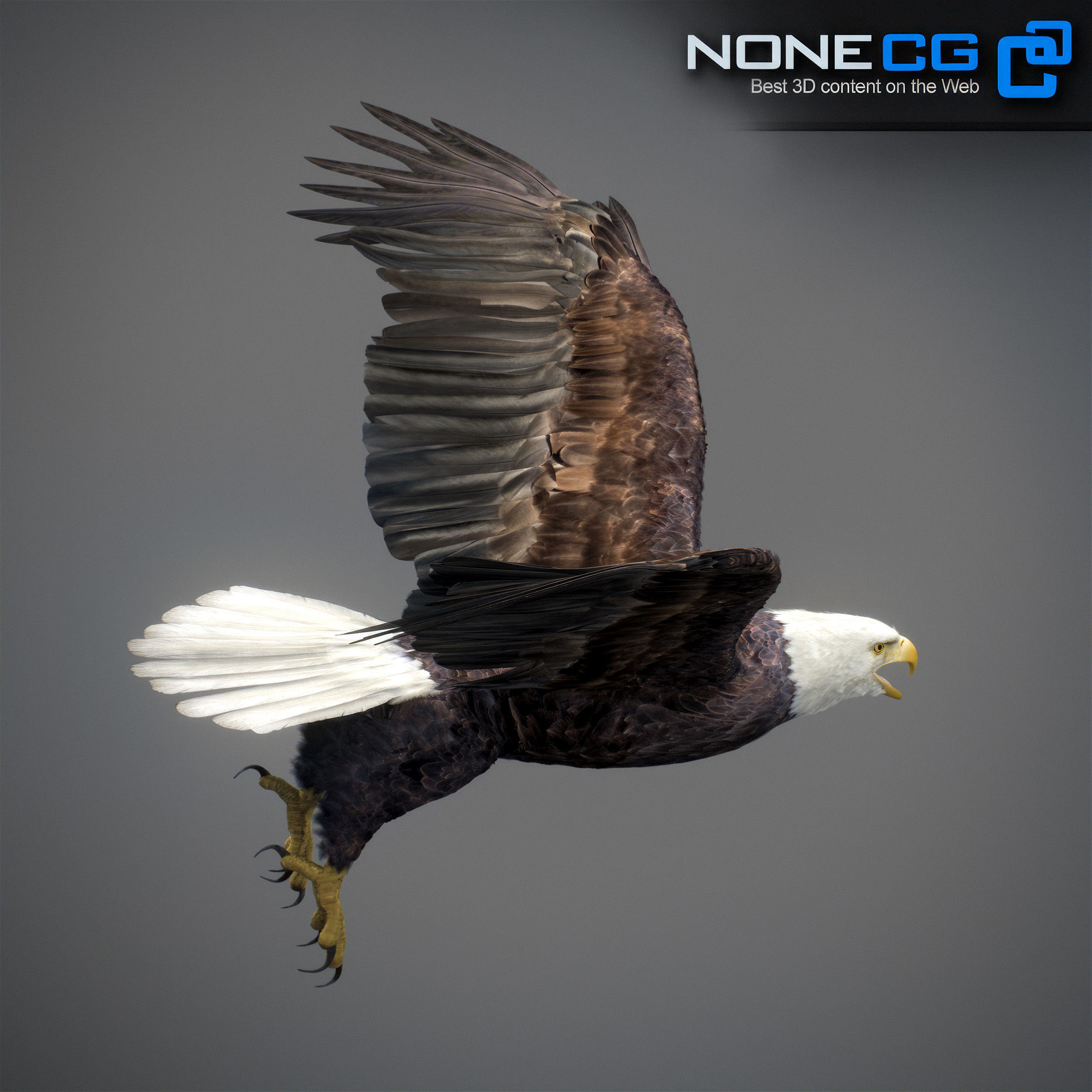 Animated Eagles 3D model_41