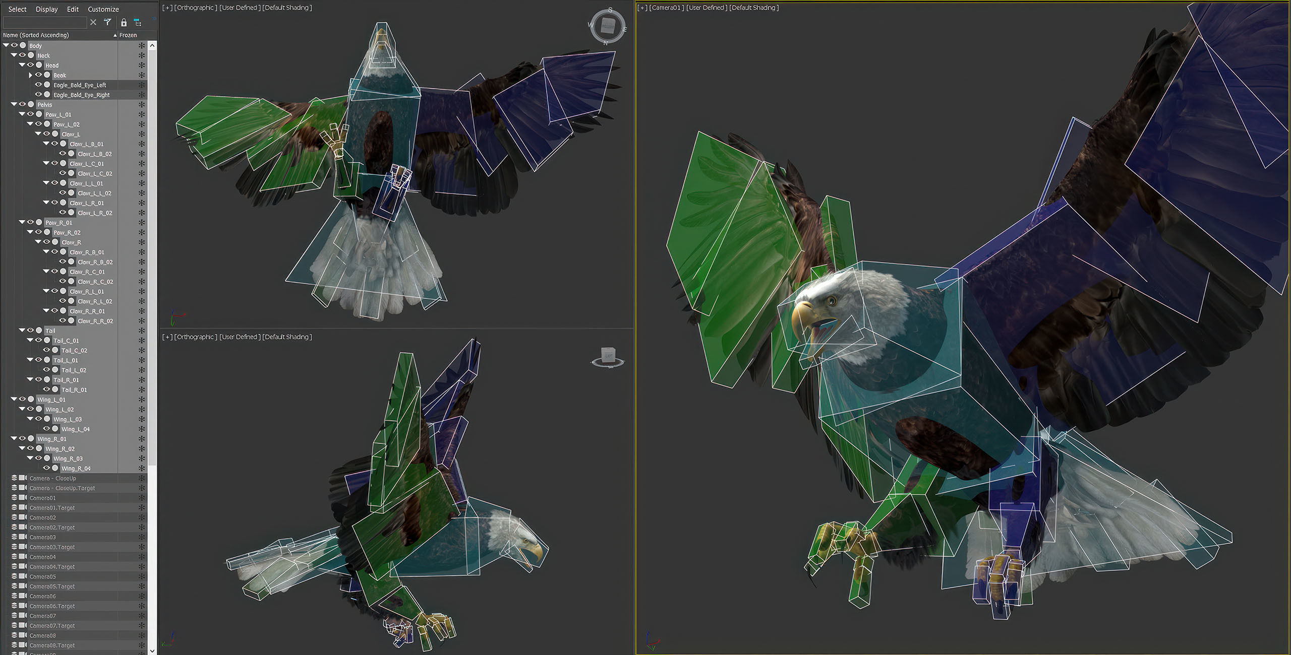Animated Eagles 3D model_9