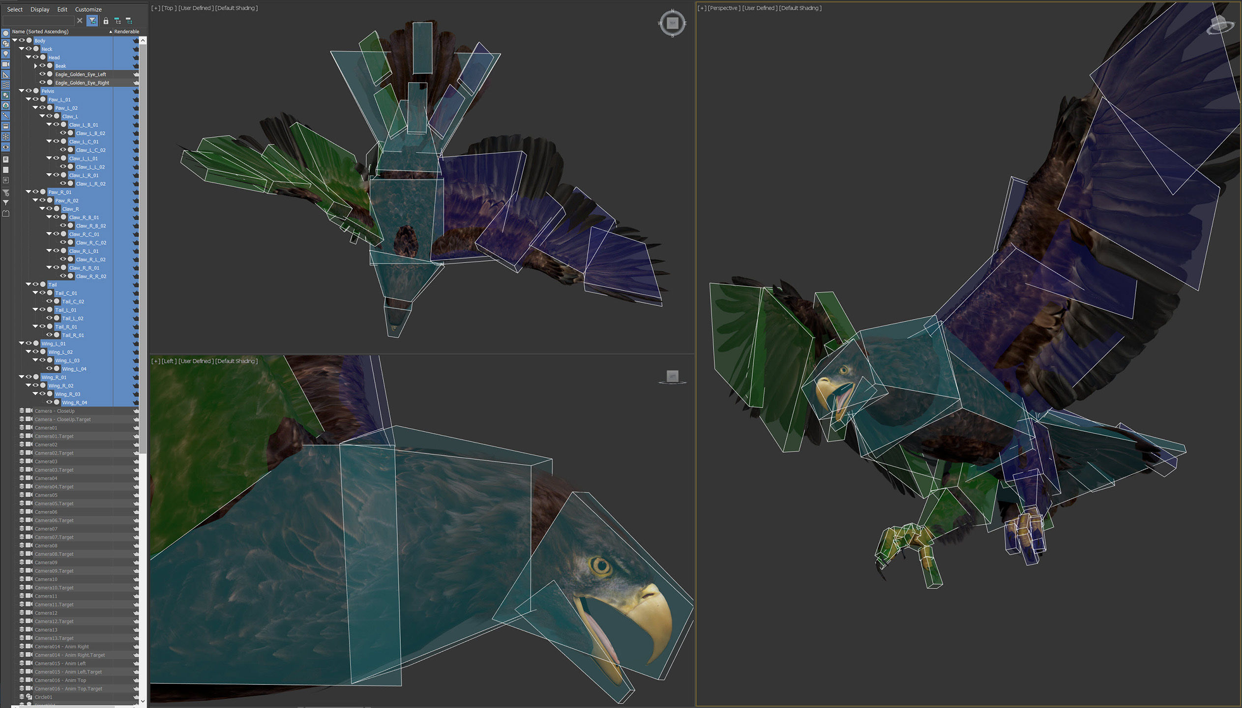 Animated Eagles 3D model_14