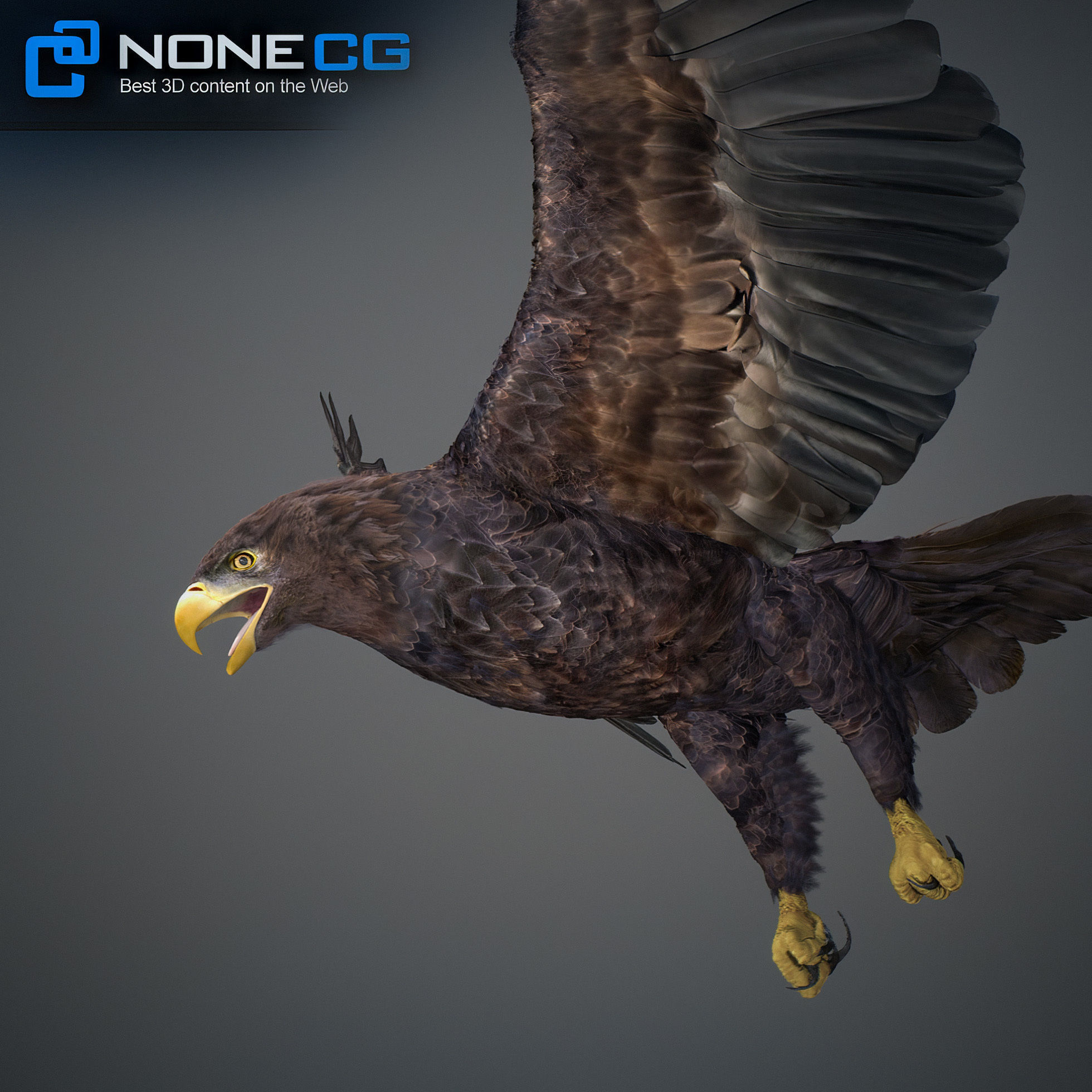 Animated Eagles 3D model_28