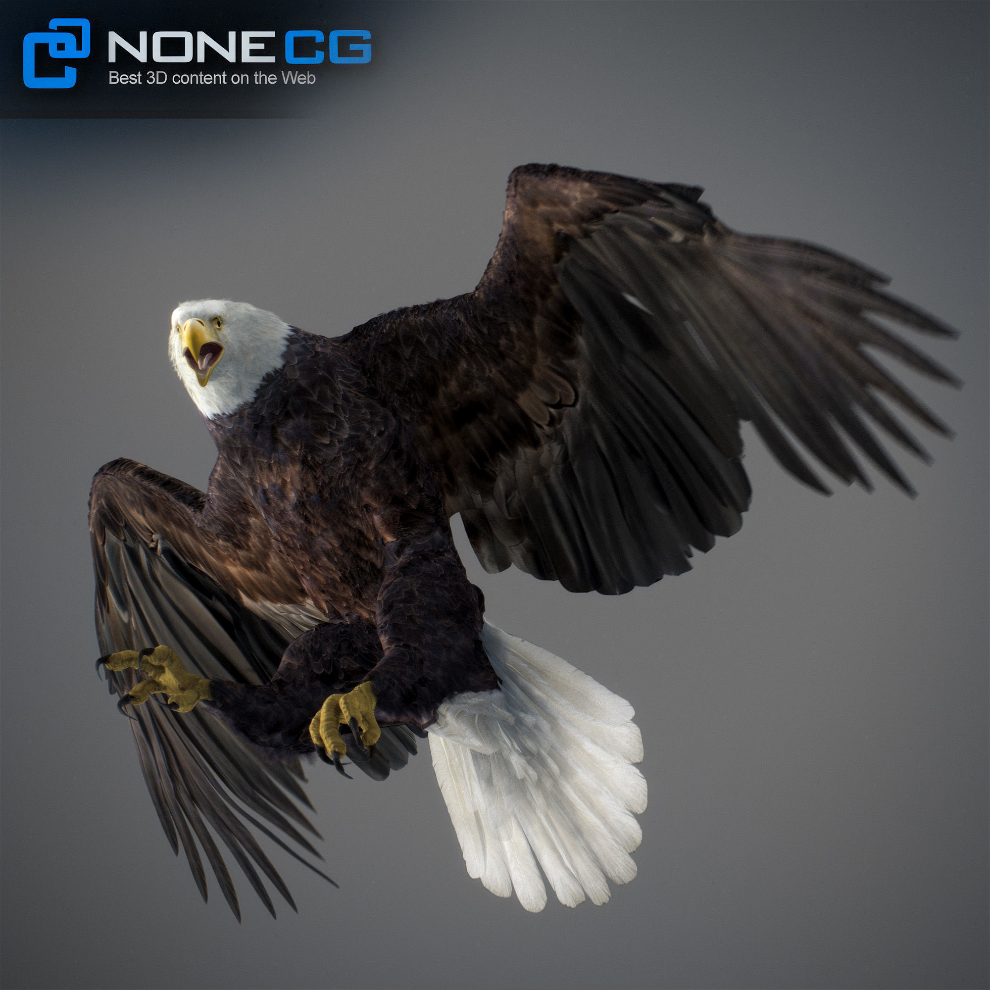 Animated Eagles 3D model_23