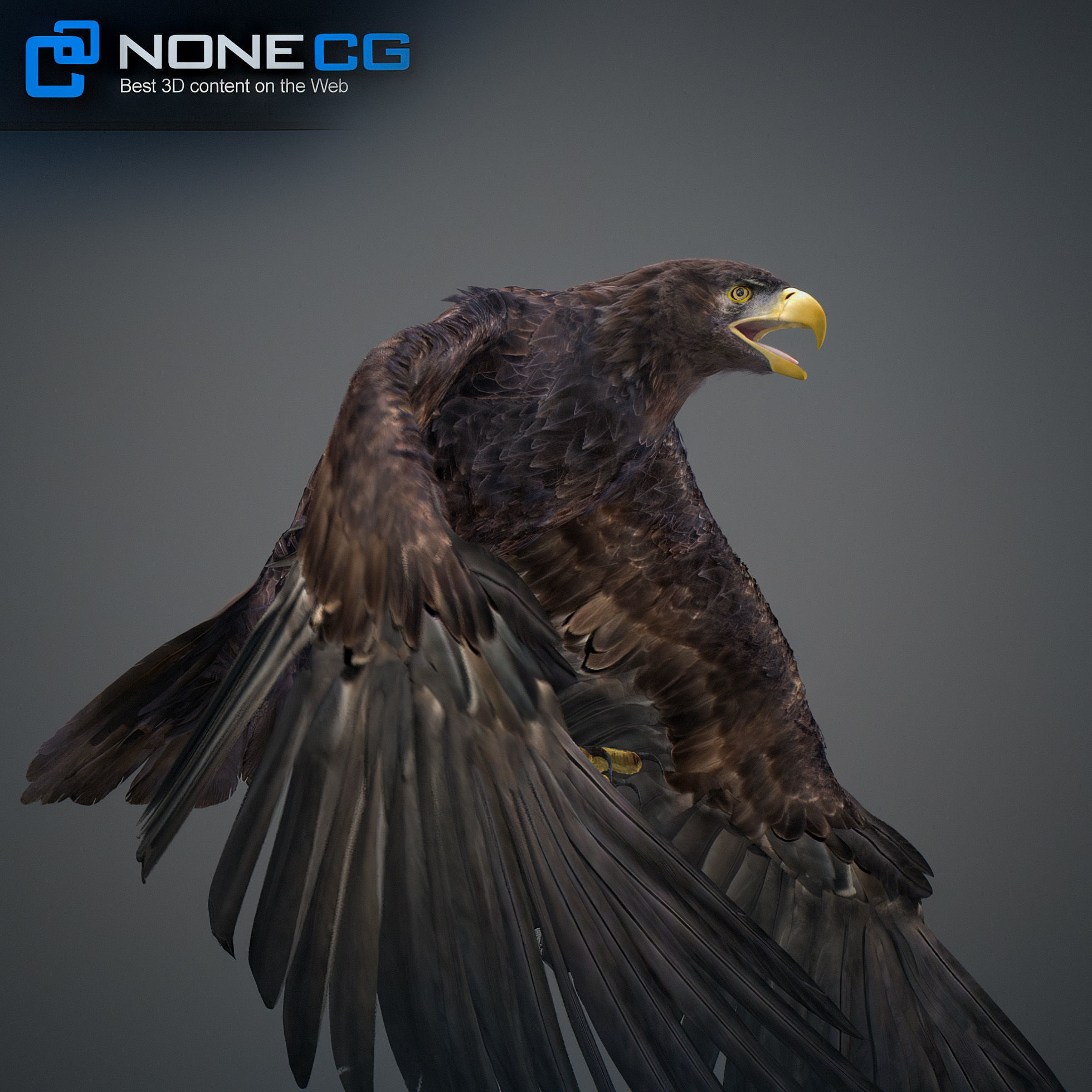 Animated Eagles 3D model_40