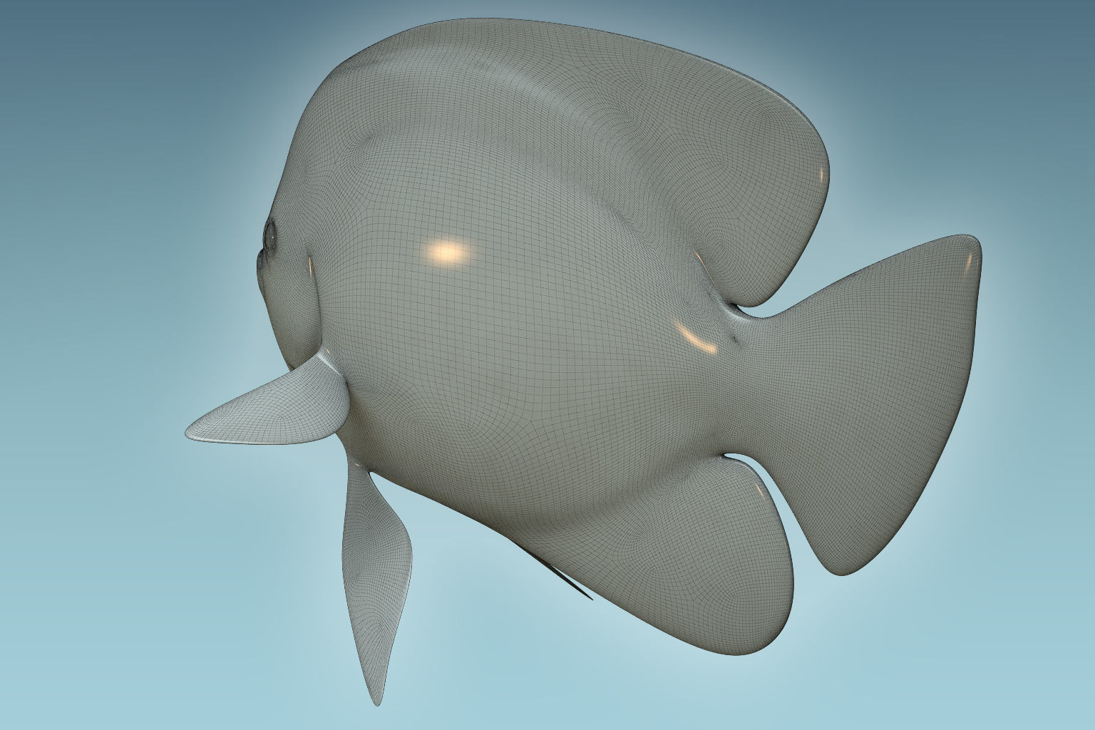 Angle Fish 15 3D model_7