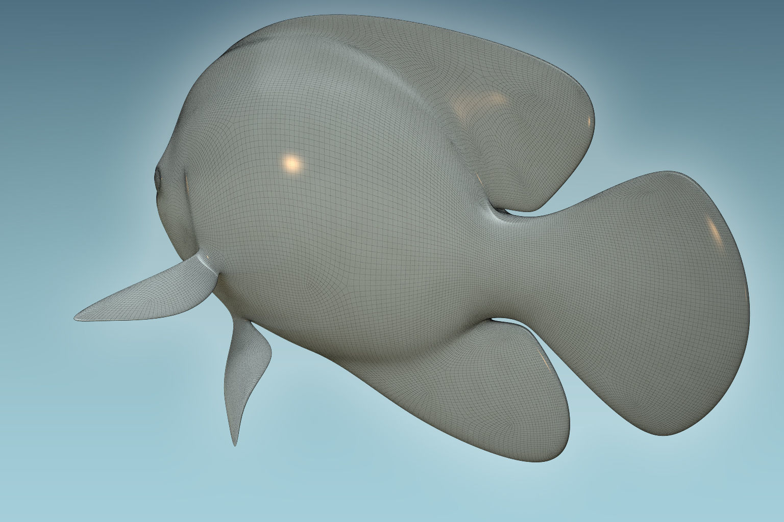 Angle Fish 17 3D model_7