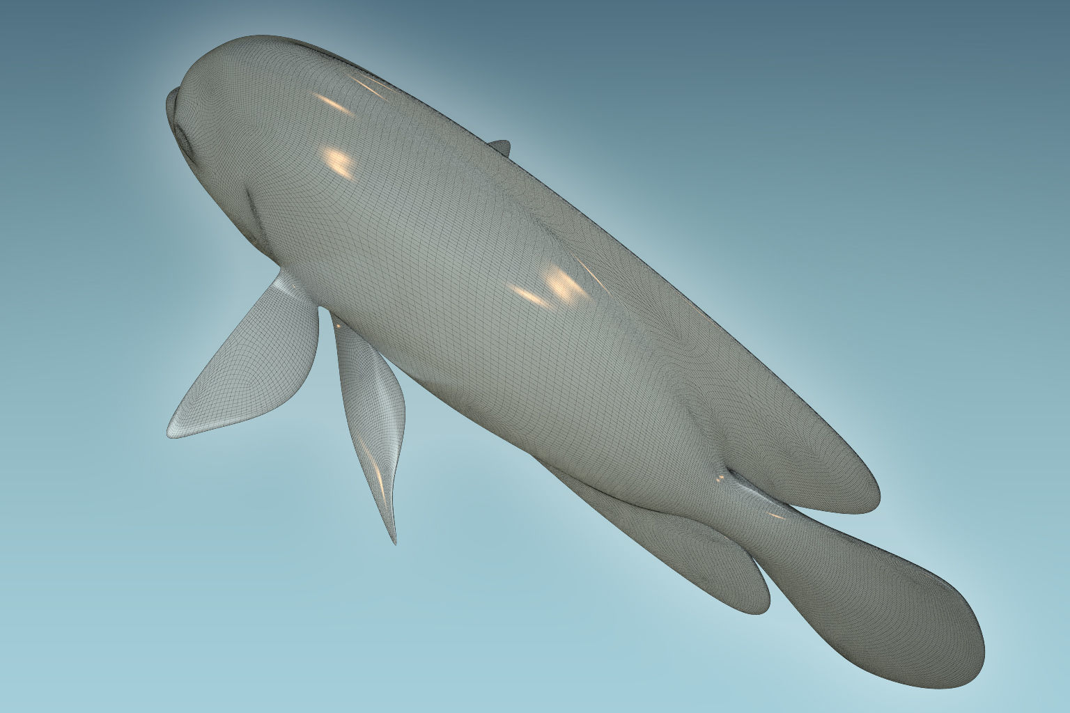 Angle Fish 17 3D model_8