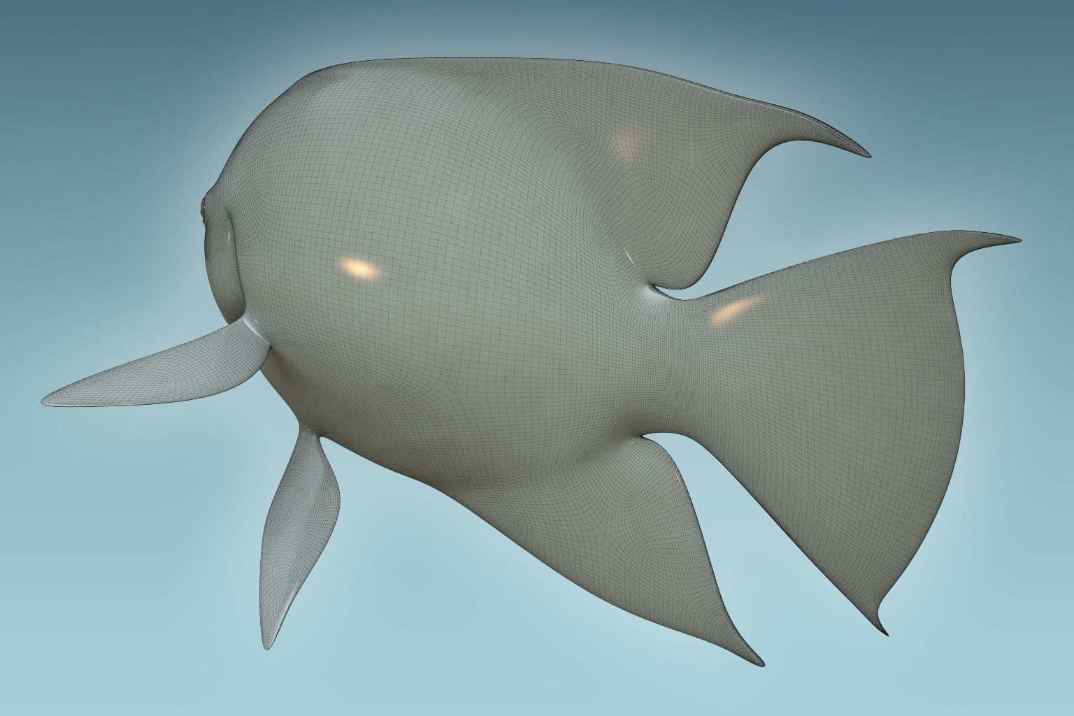 Angle Fish 18 3D model_7