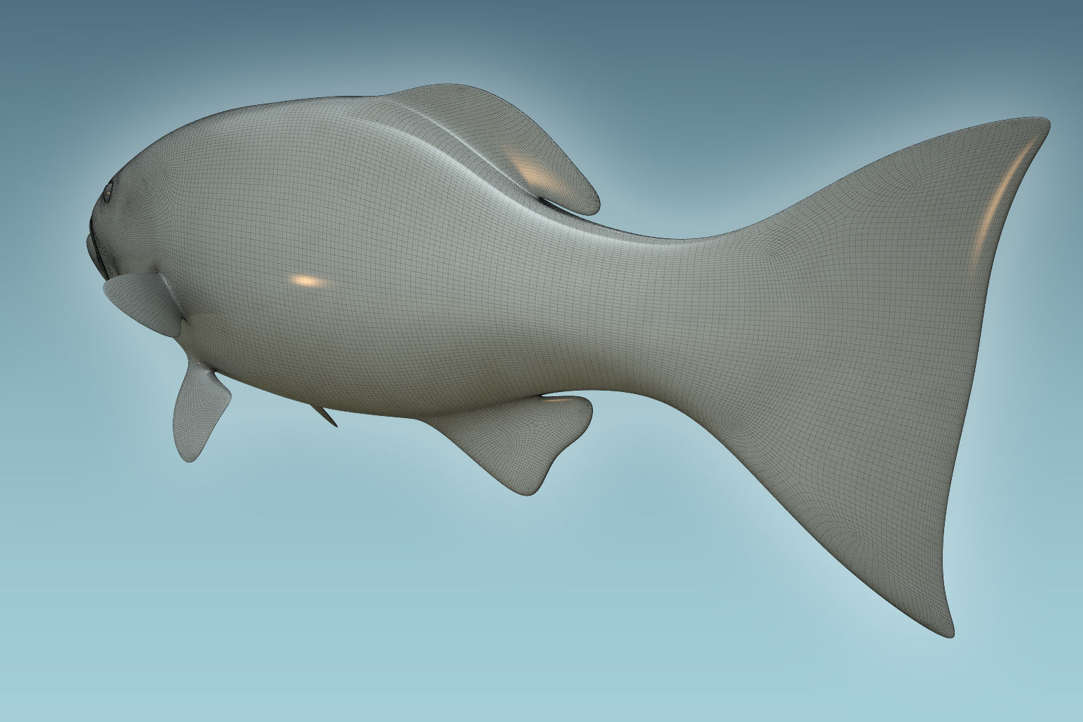 Plectropomus Laevis 3D model_7