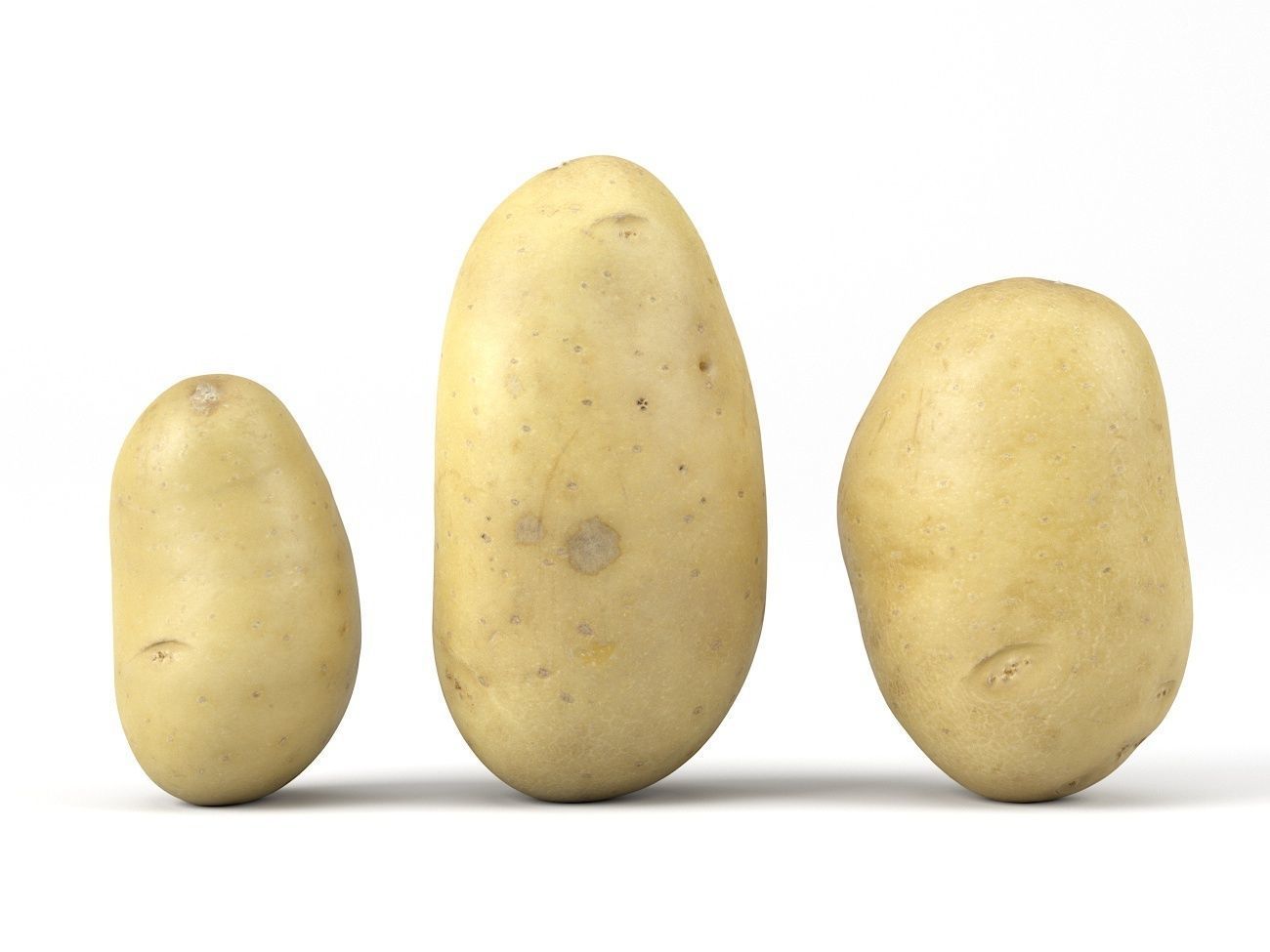 Three Different Photorealistic Potato 3D Scans 3D model_1