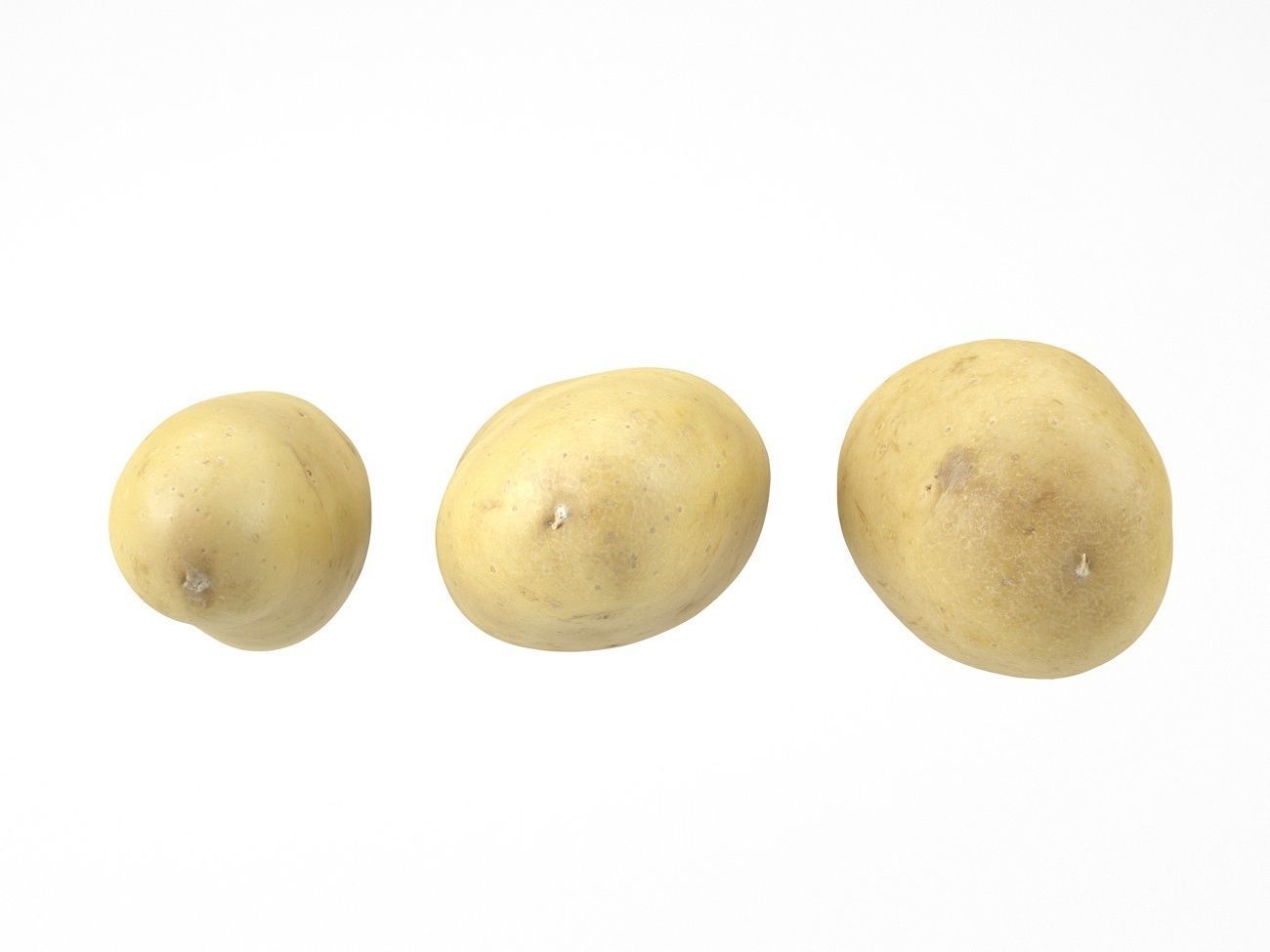 Three Different Photorealistic Potato 3D Scans 3D model_5