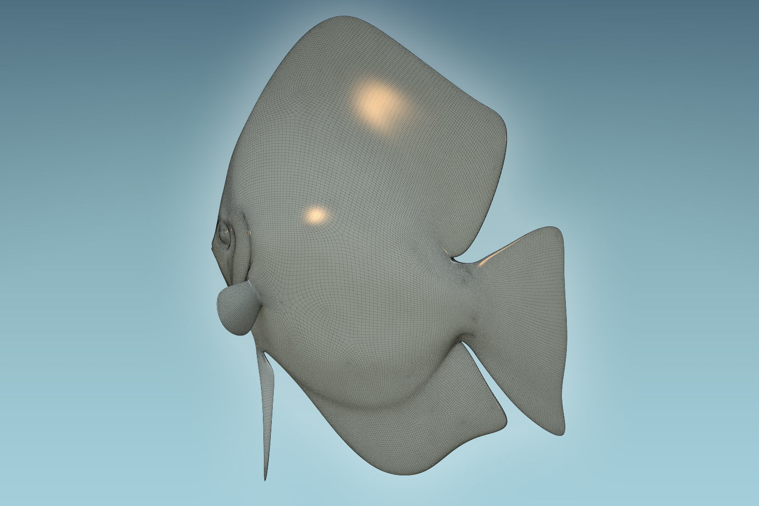 Discus Fish 3 3D model_7