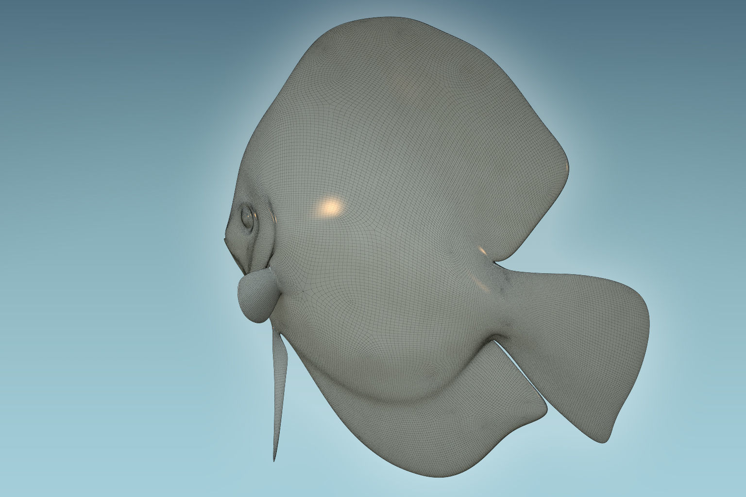Discus Fish 4 3D model_7