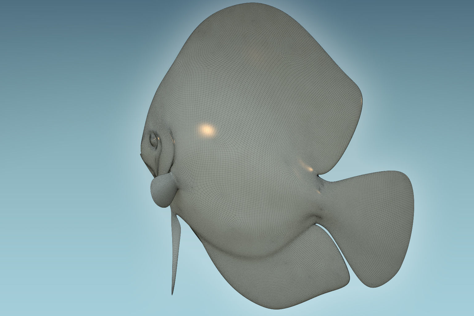 Discus Fish 6 3D model_7