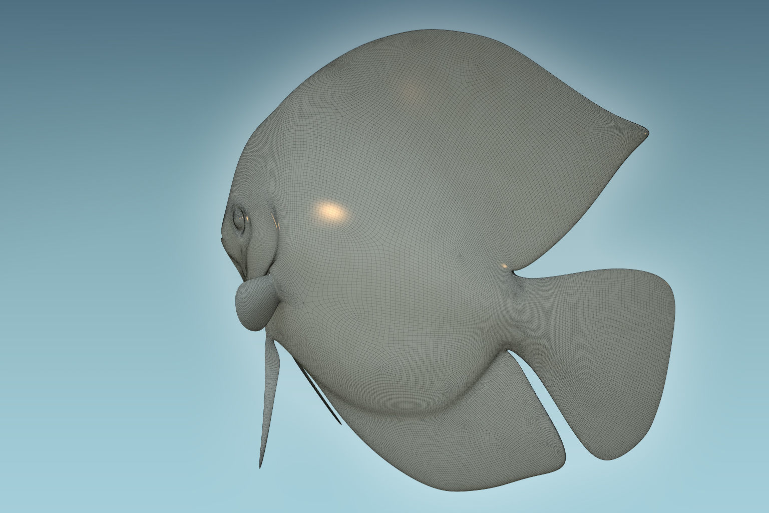 Discus Fish 7 3D model_7