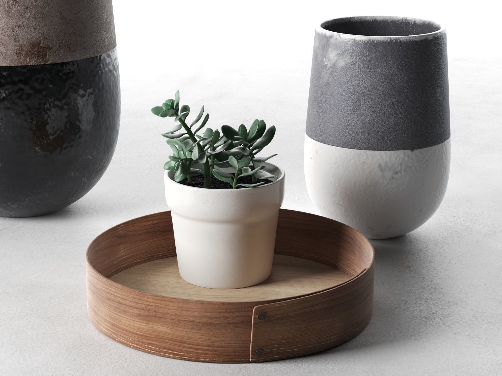 Plants in Vases 3D model_2