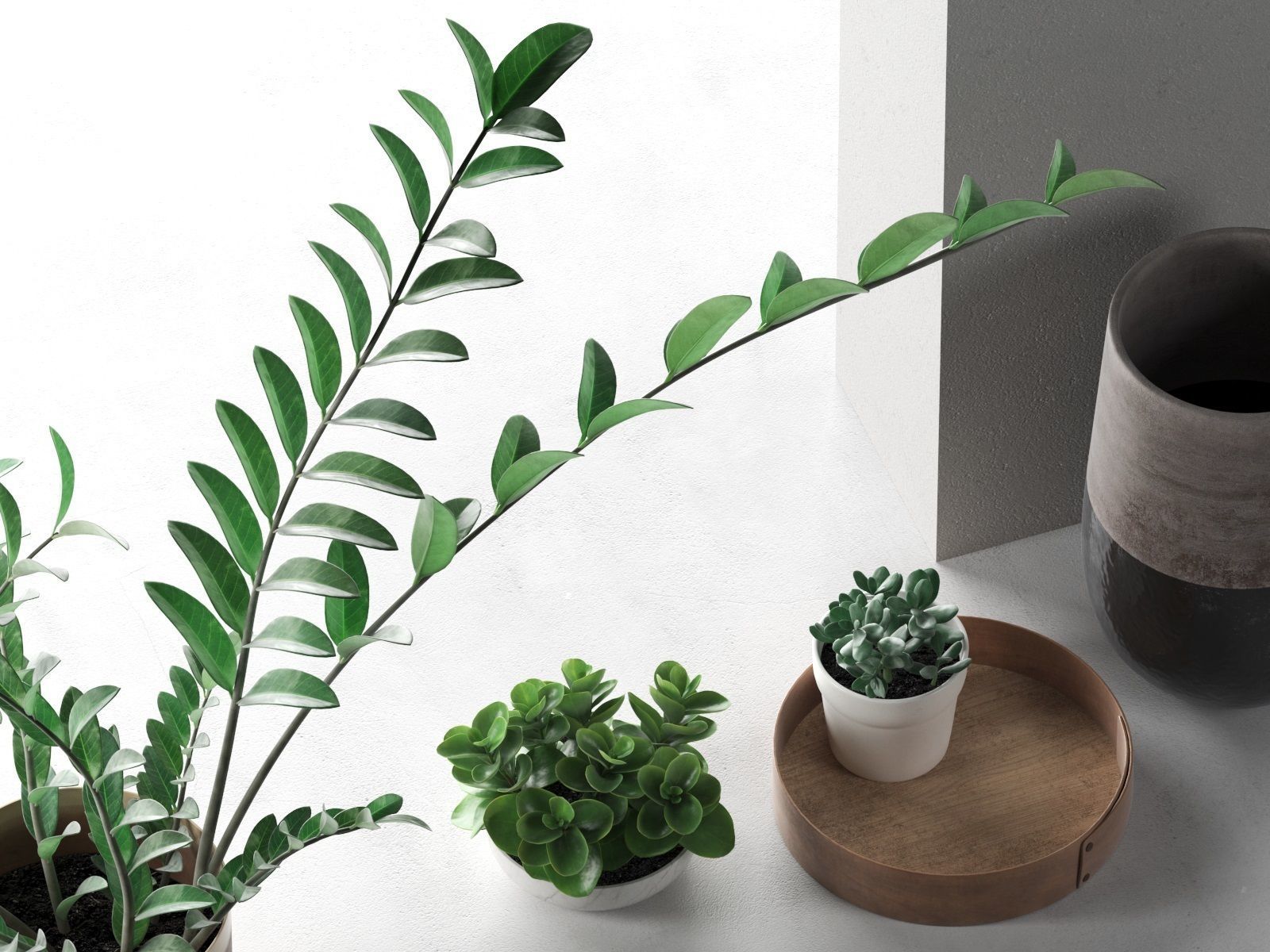 Plants in Vases 3D model_1