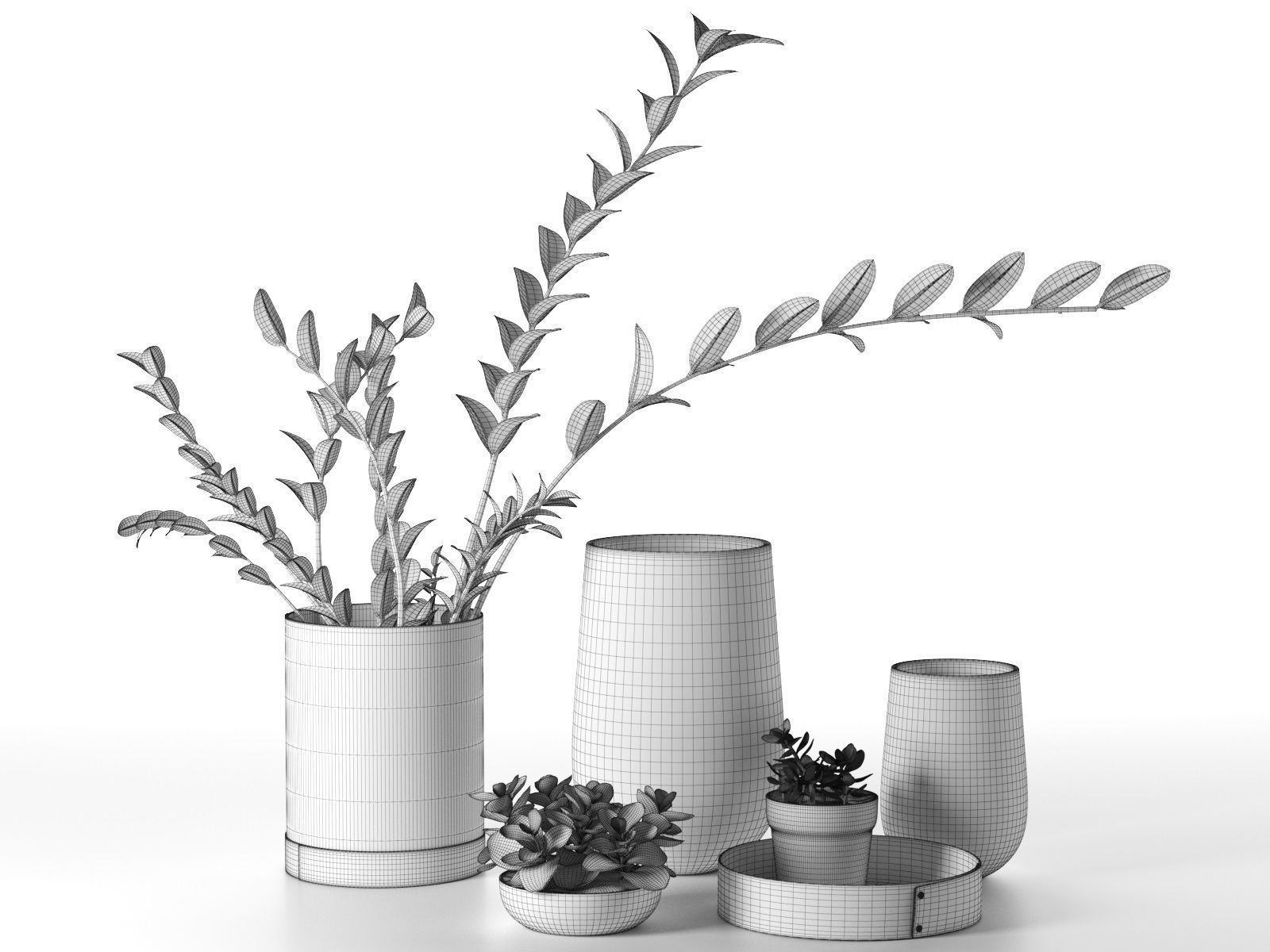 Plants in Vases 3D model_4