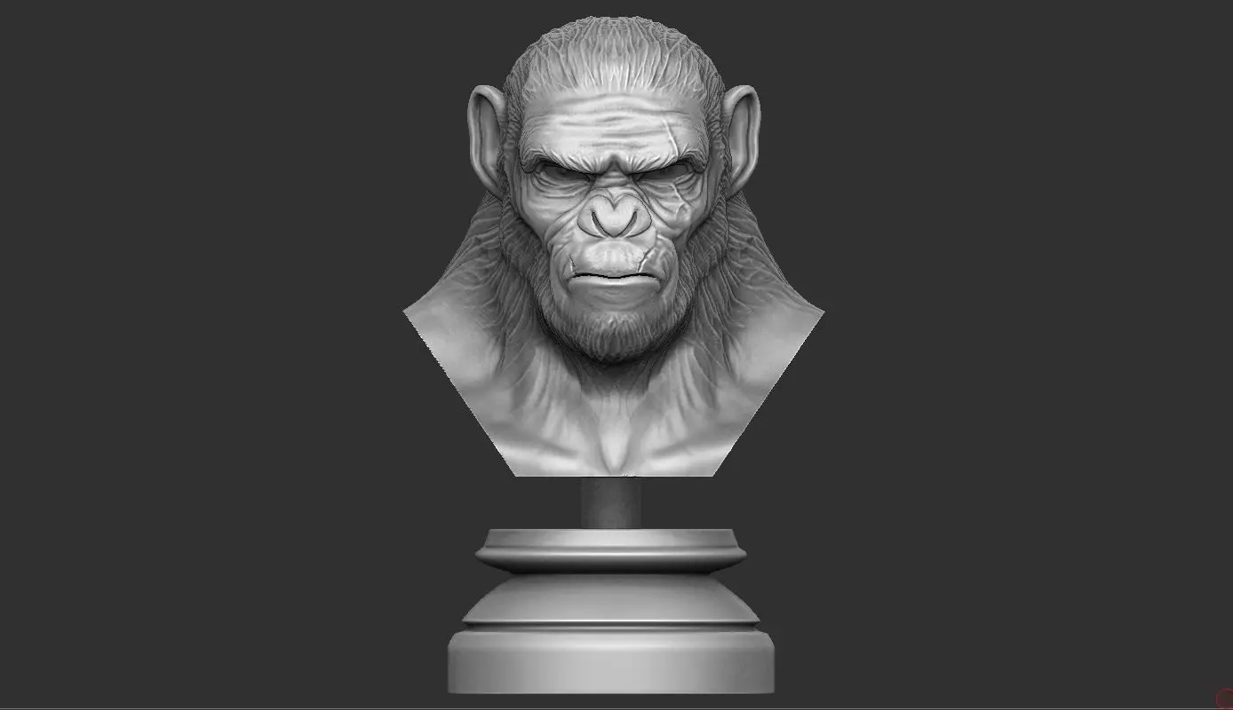 Koba Monkey  3D print model_0