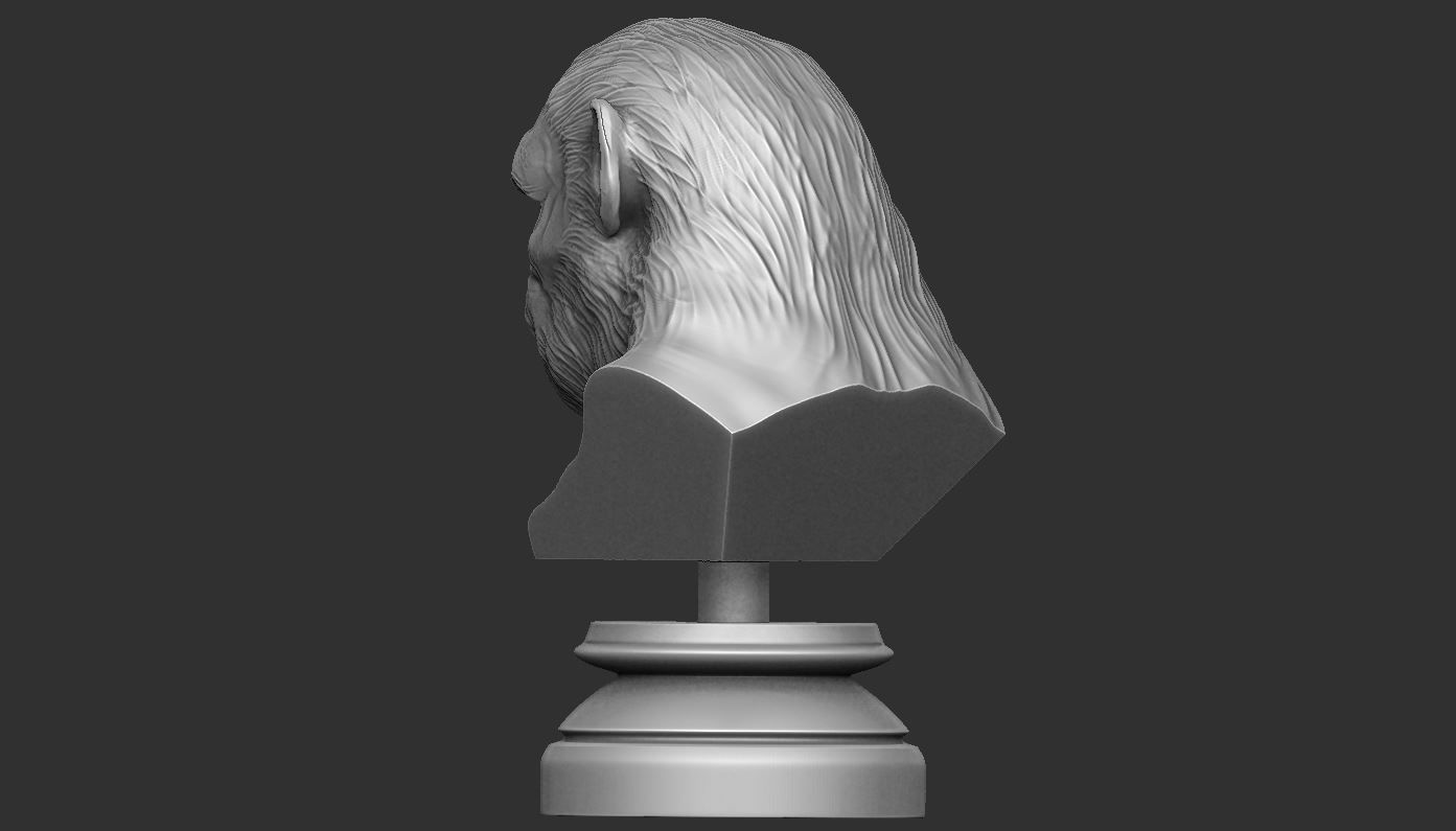 Koba Monkey  3D print model_8