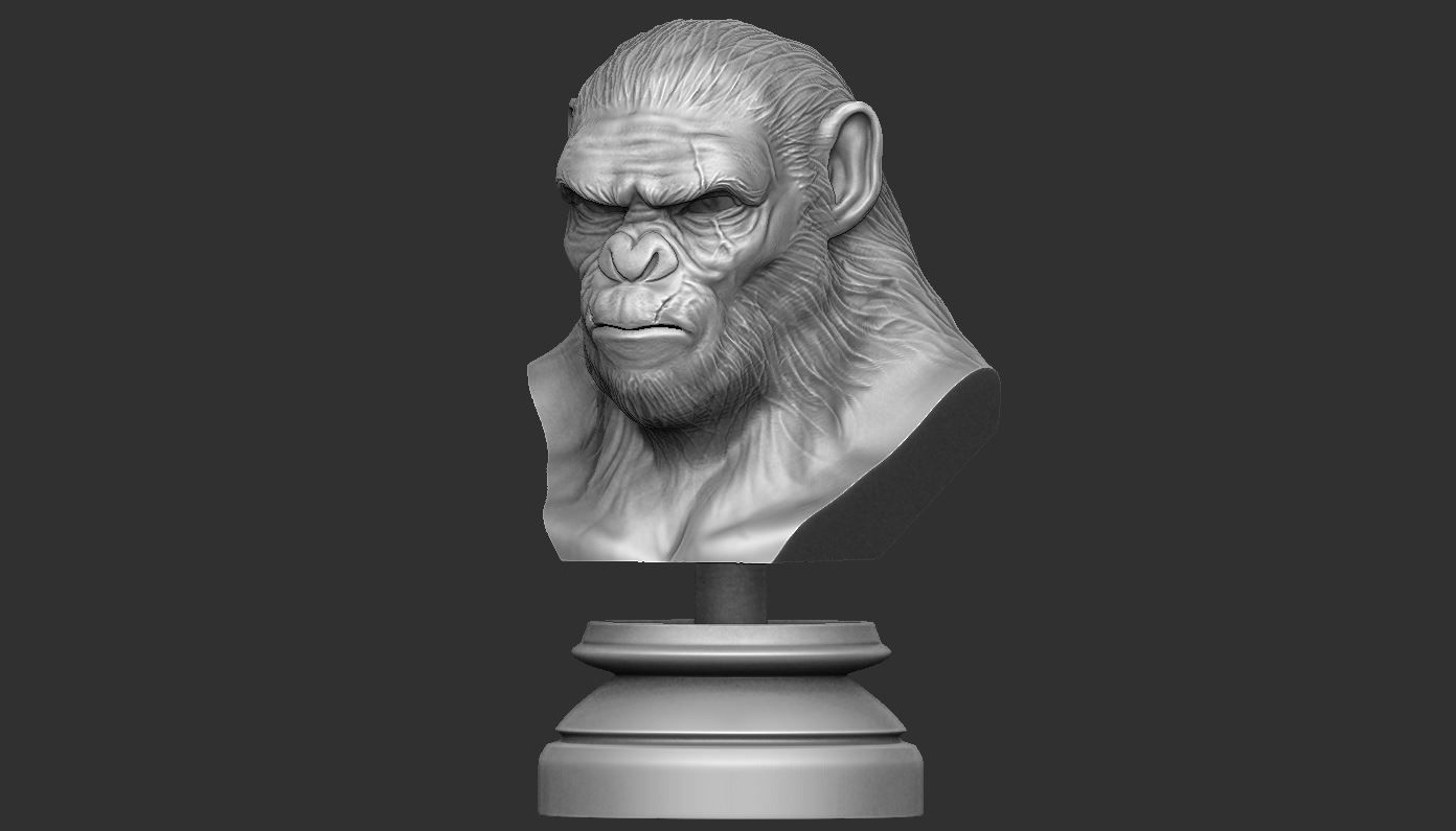 Koba Monkey  3D print model_1