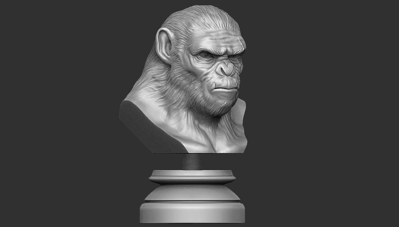 Koba Monkey  3D print model_6