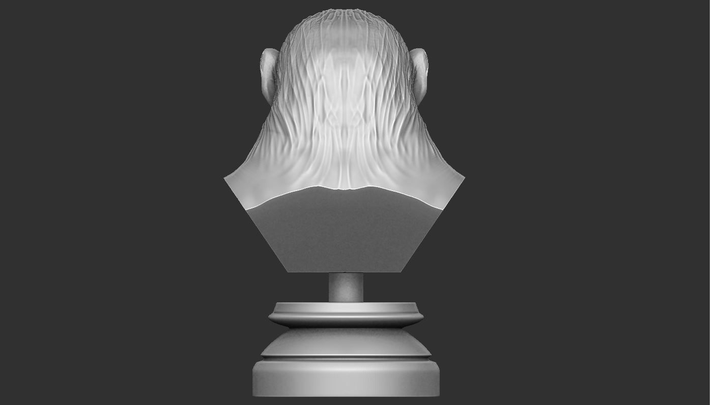 Koba Monkey  3D print model_3