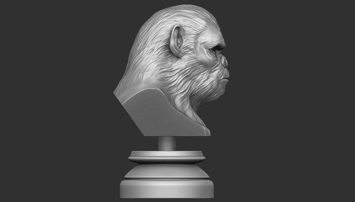 Koba Monkey  3D print model_5