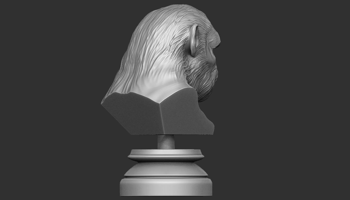 Koba Monkey  3D print model_4