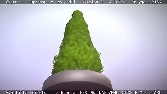 Cypress - Cupressus x Leylandii - Version 9 - 4 Meter