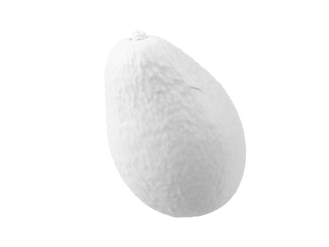 Photorealistic Avocado 3D Scan 2 3D model 7
