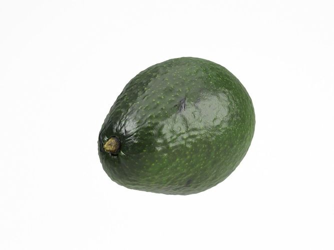 Photorealistic Avocado 3D Scan 2 3D model 5