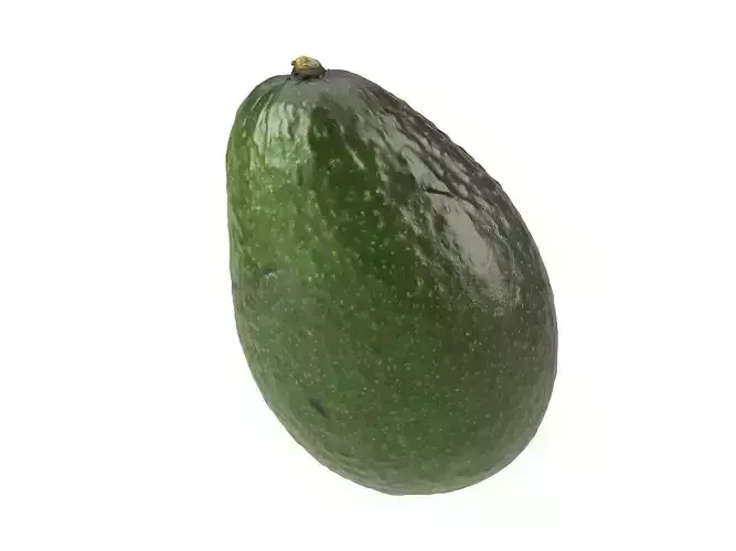 Photorealistic Avocado 3D Scan 2