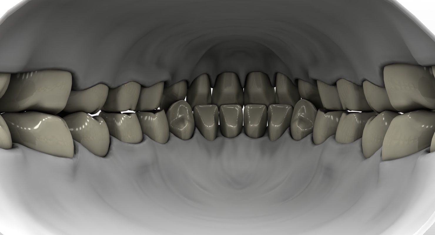 Denture tooth 3D model_12