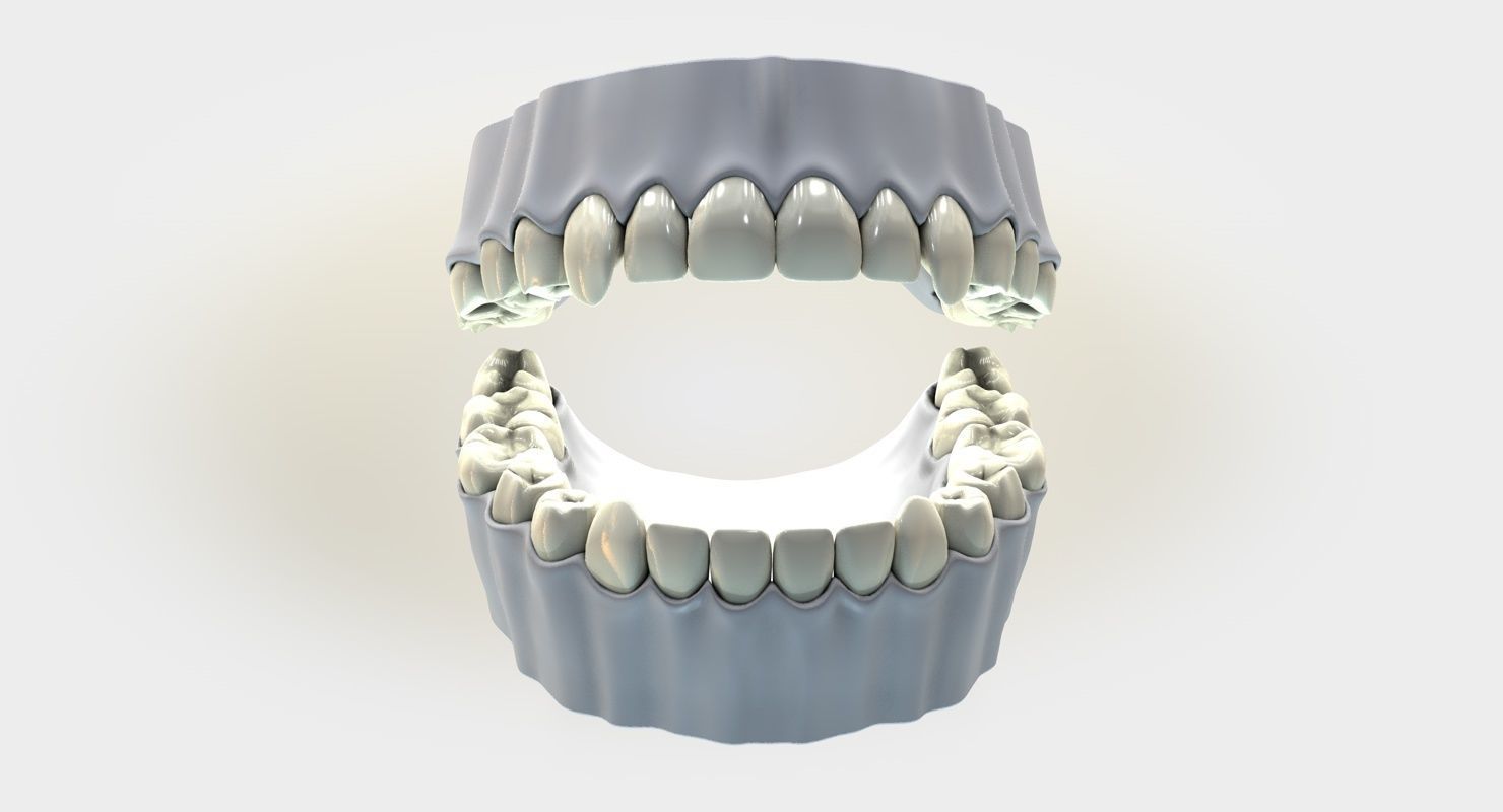 Denture tooth 3D model_1