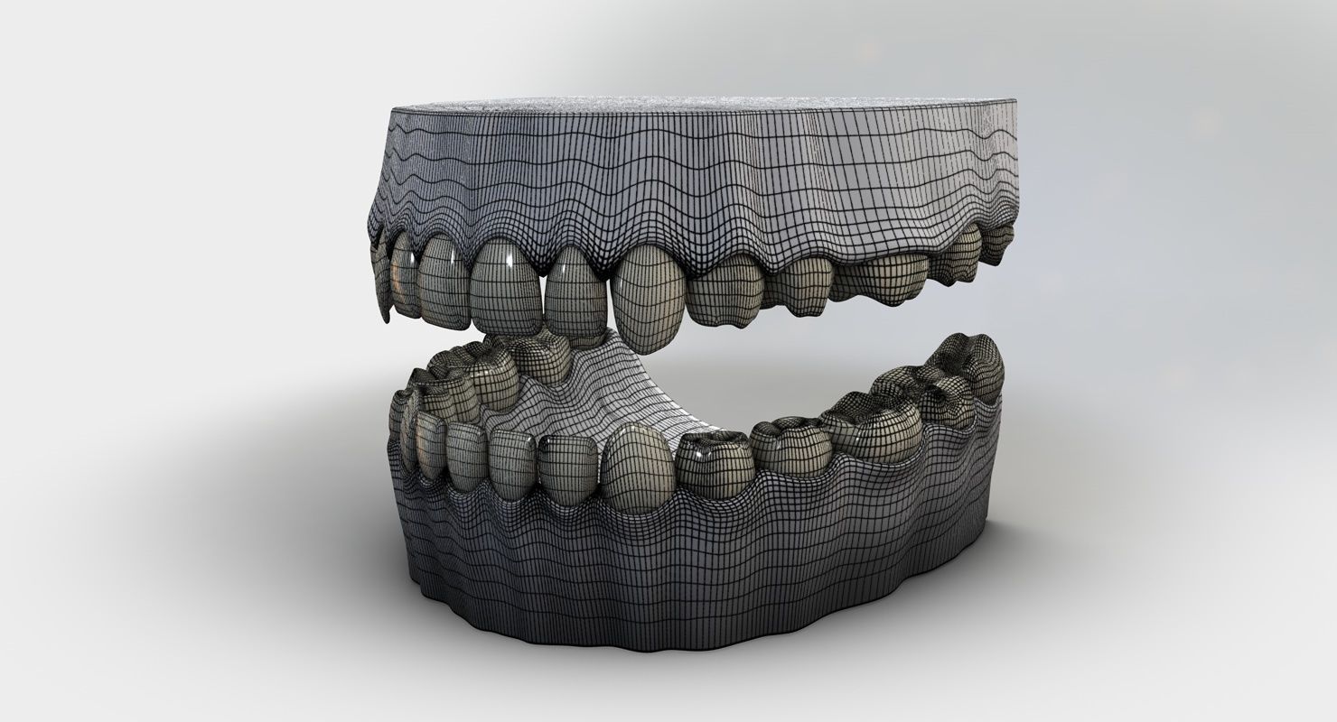 Denture tooth 3D model_29