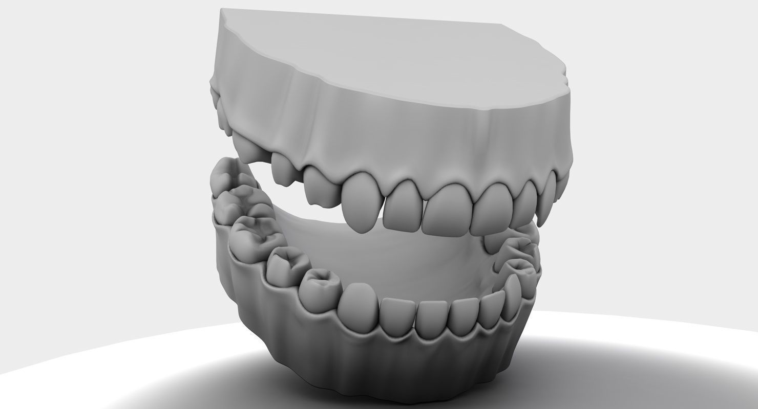 Denture tooth 3D model_4