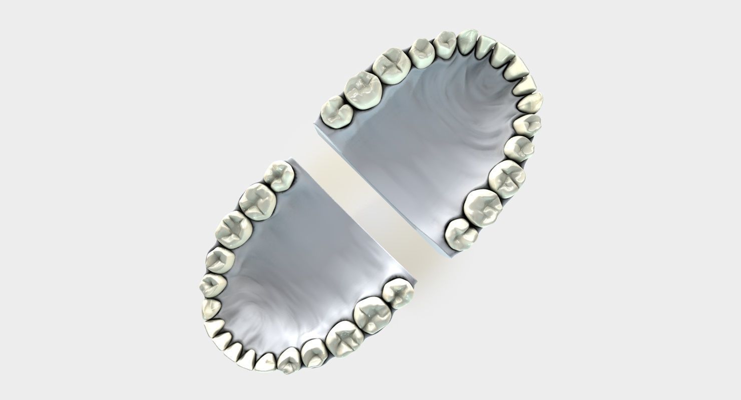 Denture tooth 3D model_13