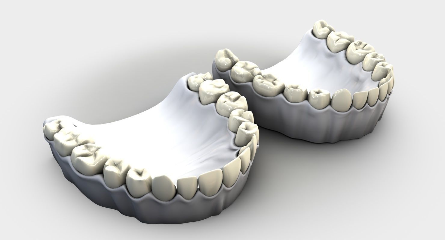 Denture tooth 3D model_10