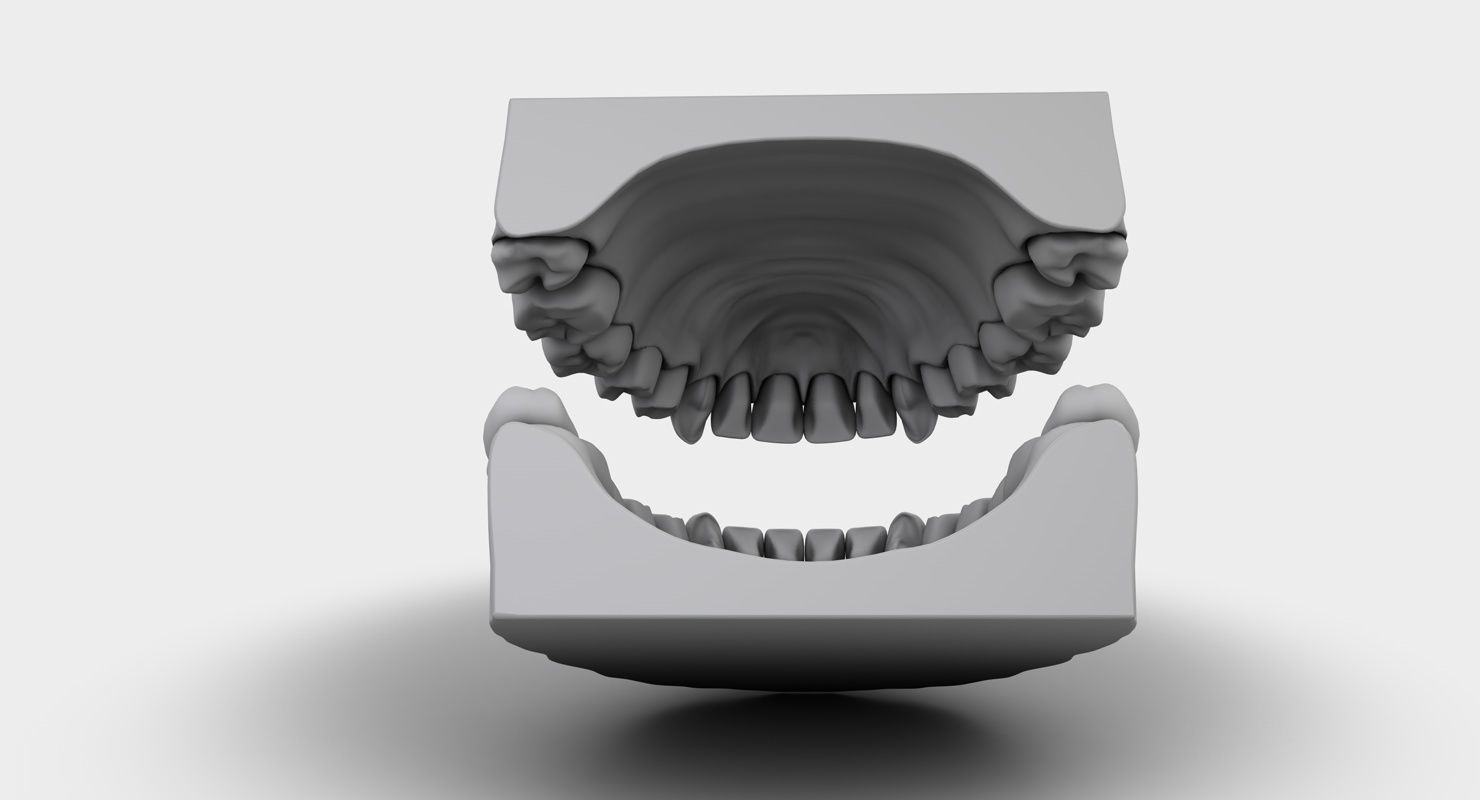 Denture tooth 3D model_3
