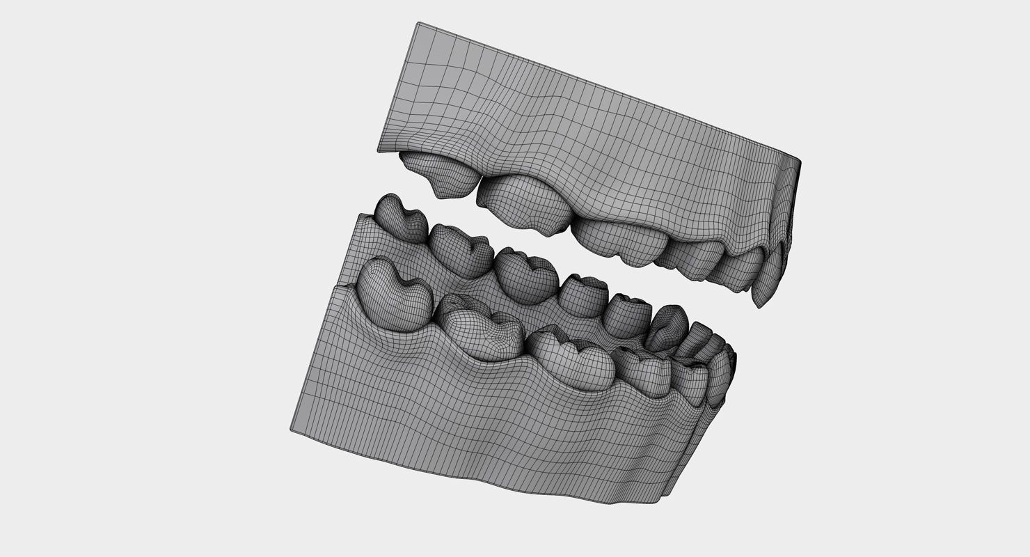 Denture tooth 3D model_24