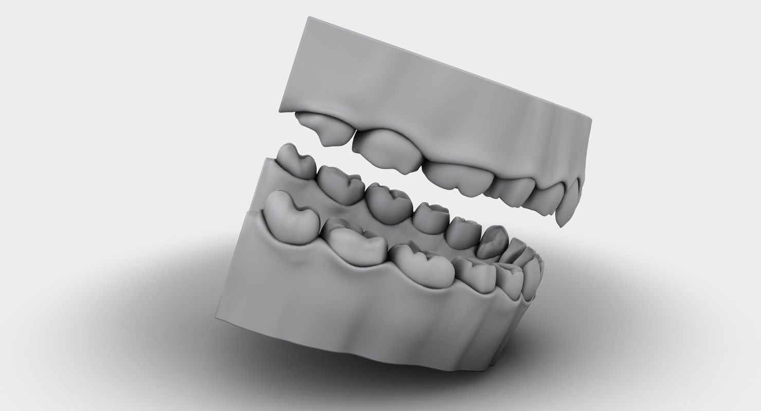 Denture tooth 3D model_14