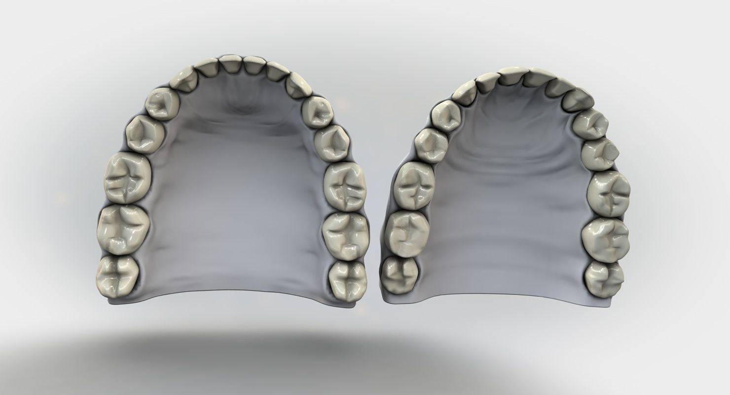 Denture tooth 3D model_5