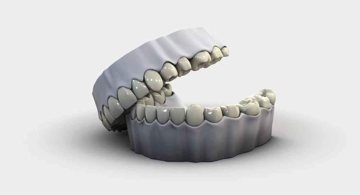 Denture tooth 3D model_0