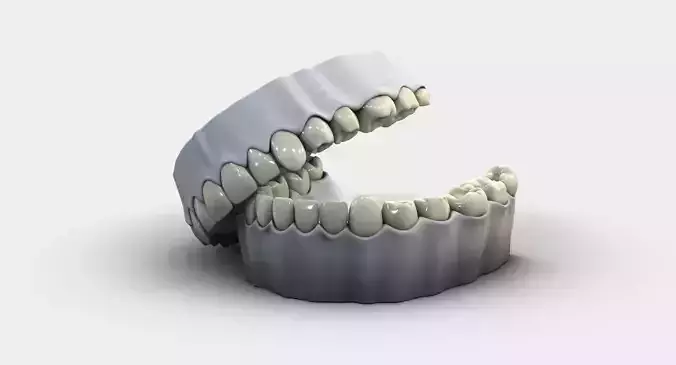 Denture tooth