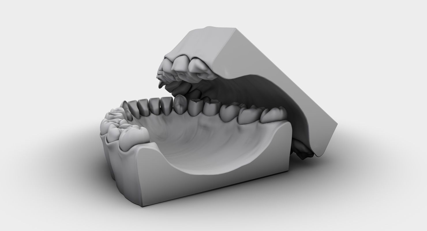 Denture tooth 3D model_17