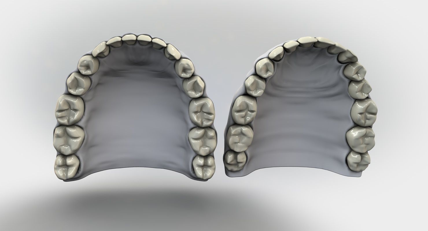 Denture tooth 3D model_6