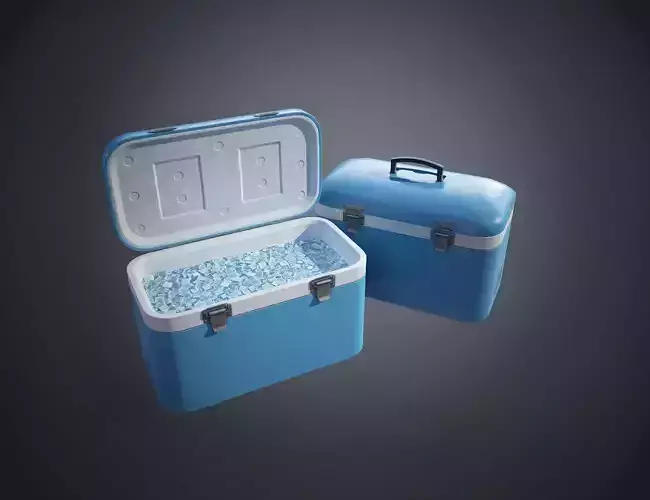 Plastic Cooler with Ice