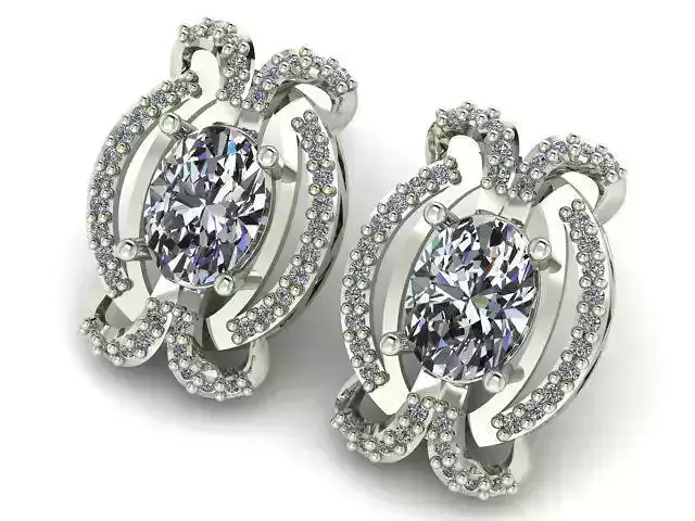 Earrings T01376